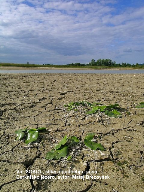 Globoke razpoke v tleh na polju zaradi suše